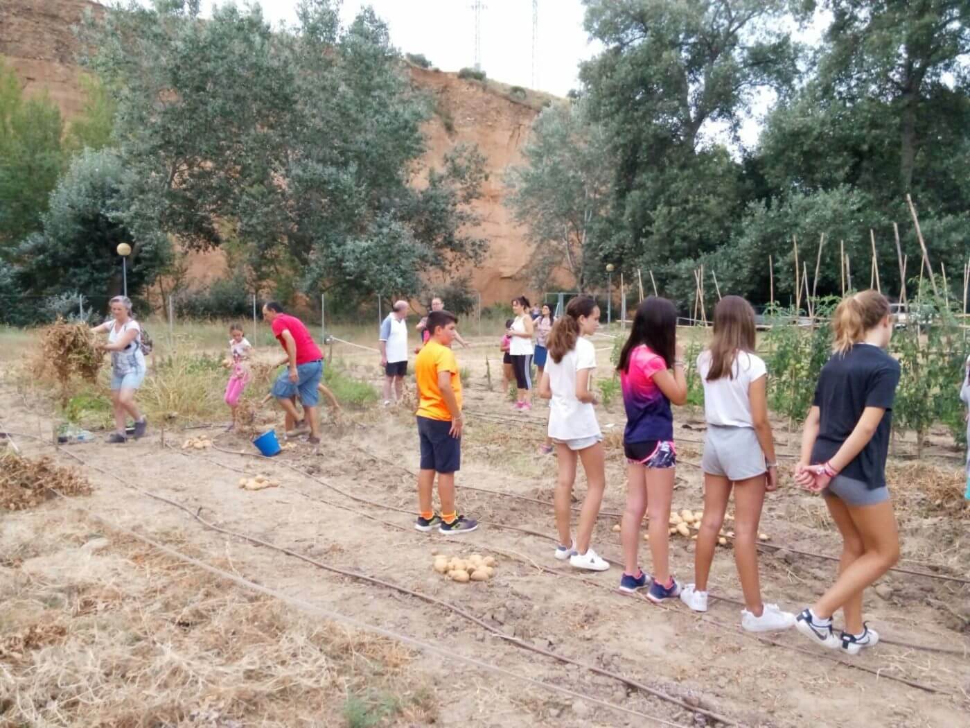 Lee más sobre el artículo A punto de cumplir un año, los huertos sociales promovidos por Cáritas han cumplido sus objetivos