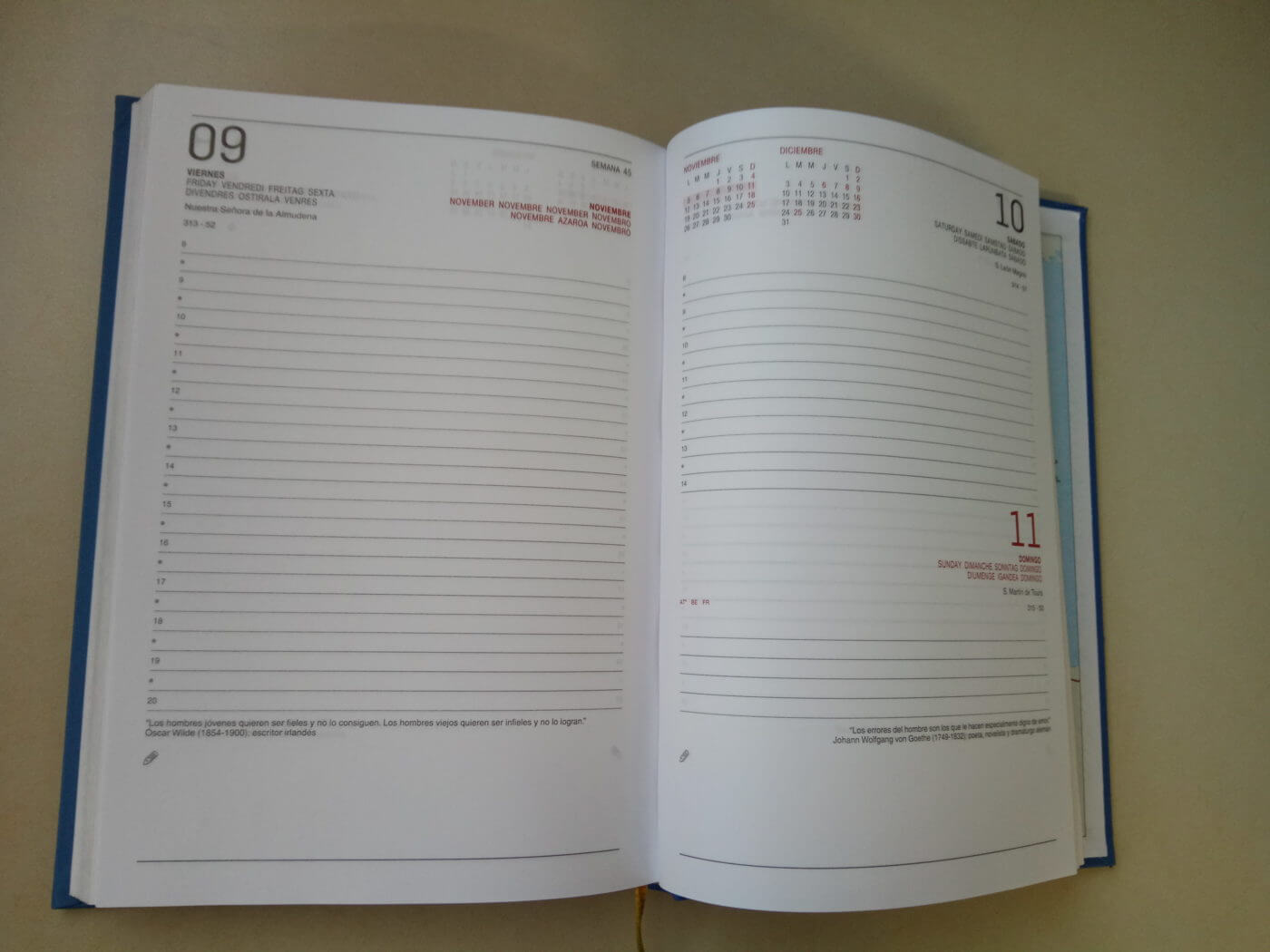 Lee más sobre el artículo Actividades para este fin de semana del 9 al 11 de noviembre