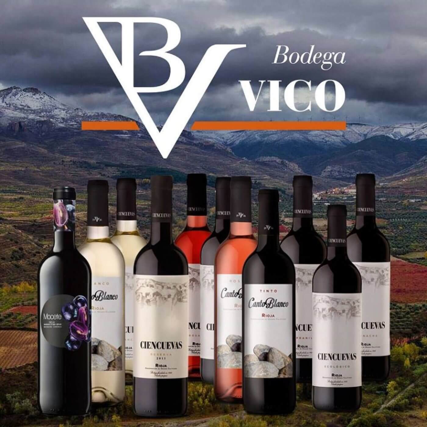 Lee más sobre el artículo Los vinos de la bodega Nuestra Señora de Vico de Arnedo siguen sumando premios