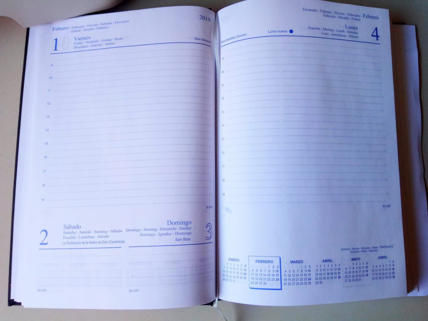 Lee más sobre el artículo Agenda de actividades para este primer fin de semana de febrero