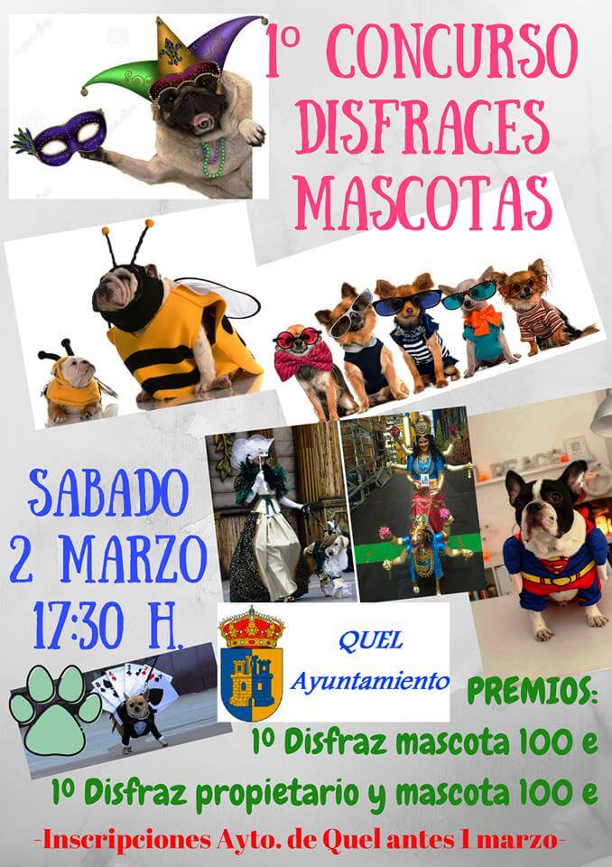 Lee más sobre el artículo Un concurso de disfraces de mascotas, novedad del Carnaval en Quel