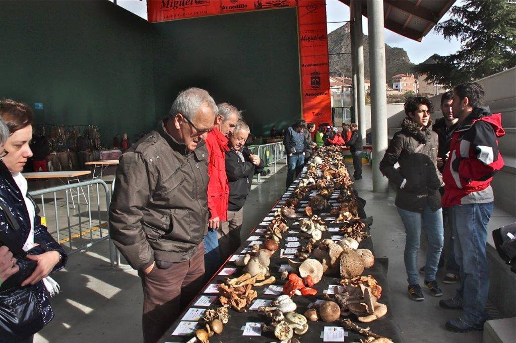 Lee más sobre el artículo Arnedillo celebra este fin de semana sus XXIX Jornadas Micológicas