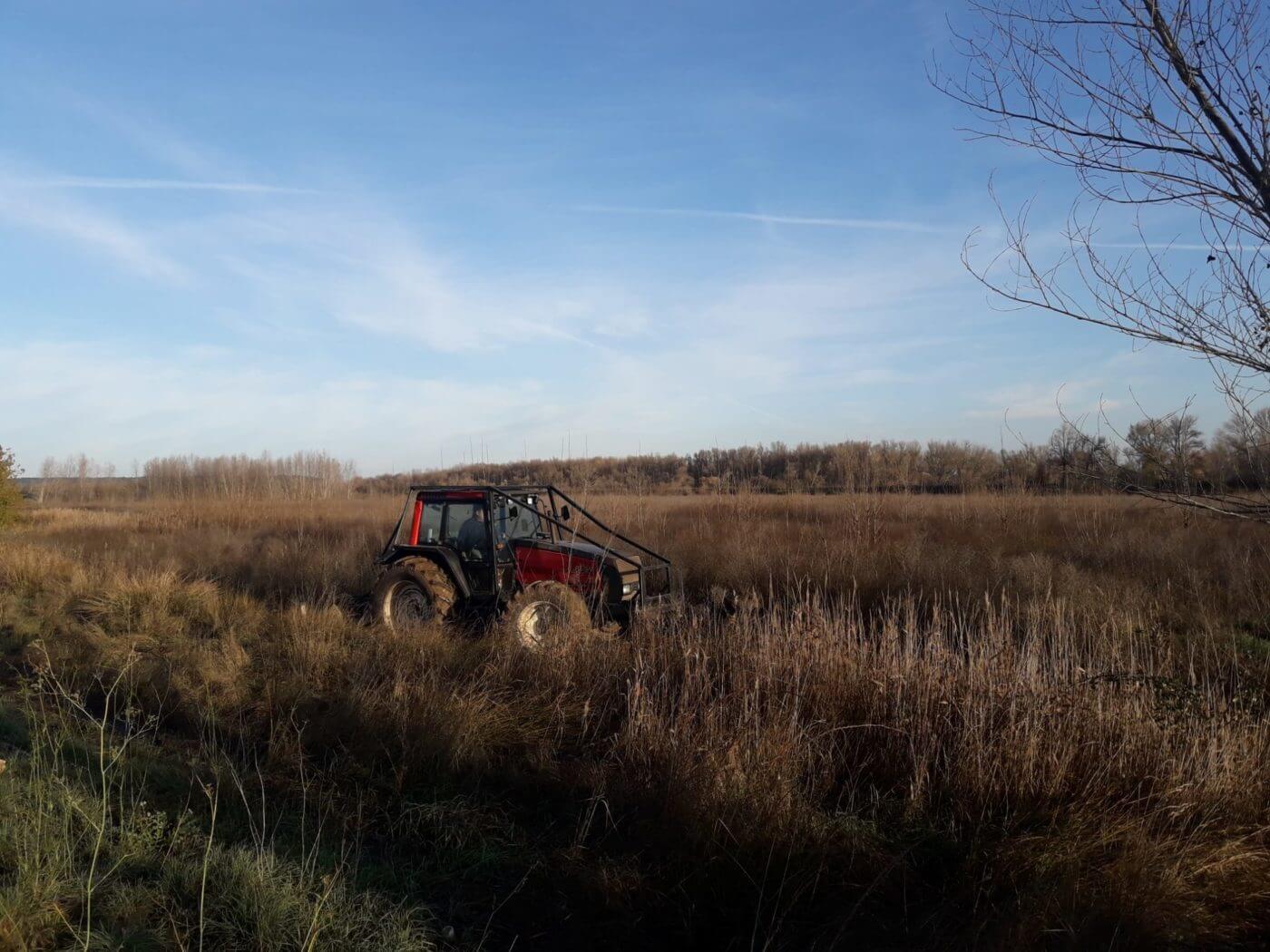 Lee más sobre el artículo Comienzan los trabajos de restauración fluvial del río Ebro en el término alfareño de La Nava
