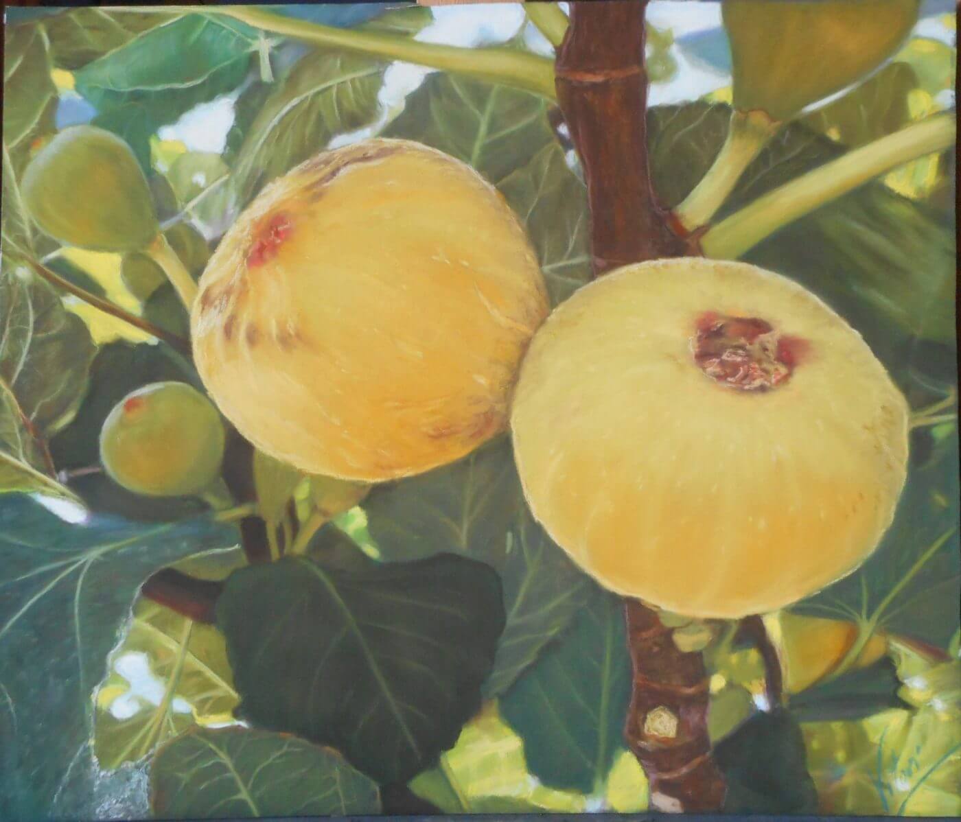 Lee más sobre el artículo La riojana Victoria González expone cuadros al pastel en el Centro Fundación Cajarioja-Bankia