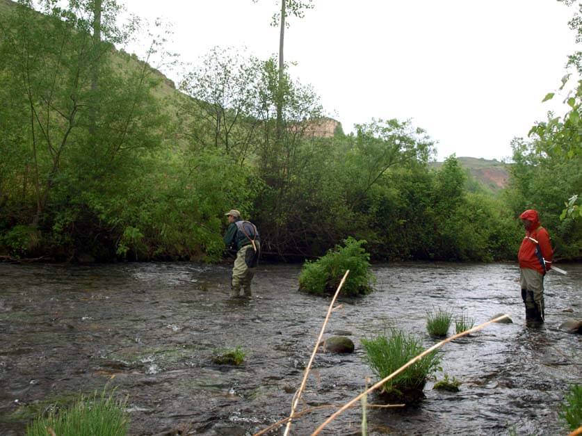Lee más sobre el artículo La nueva orden de pesca amplía el tramo de aguas trucheras del río Cidacos hasta Arnedo