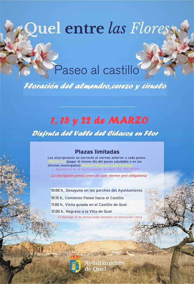 Lee más sobre el artículo Paseos entre las flores y ranchos en el Barrio Bodegas de Quel