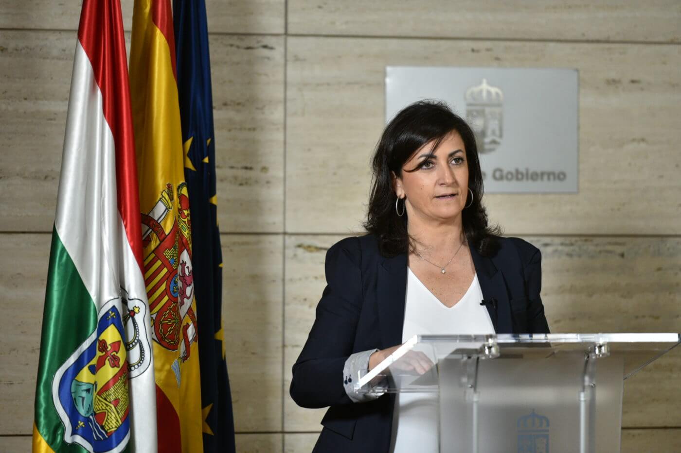 Lee más sobre el artículo Andreu pide la colaboración de todos los riojanos para ganar juntos la batalla al coronavirus