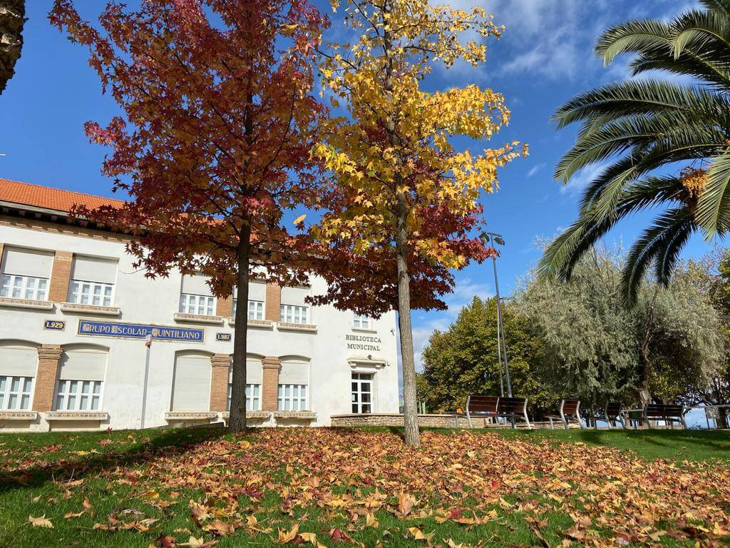 Lee más sobre el artículo La biblioteca municipal de Calahorra recupera su apertura de los sábados a partir de este 27 de junio