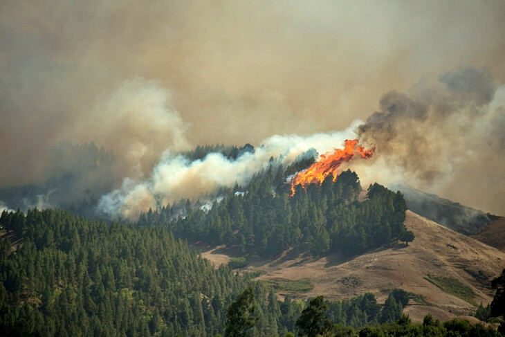 Lee más sobre el artículo El alcalde pide colaboración a los vecinos para prevenir los incendios forestales este verano