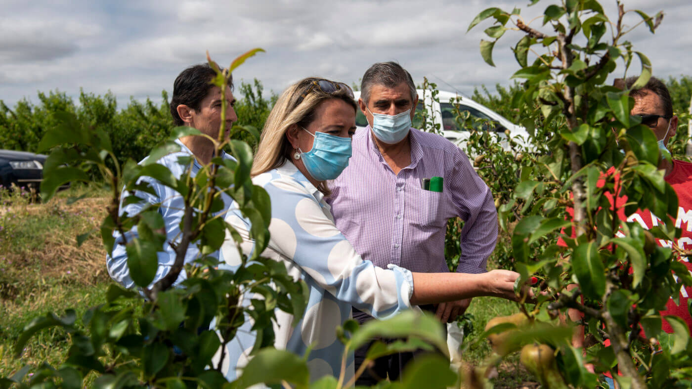 Lee más sobre el artículo La consejera de Agricultura visita las zonas de frutales más afectadas por las tormentas en Rincón de Soto