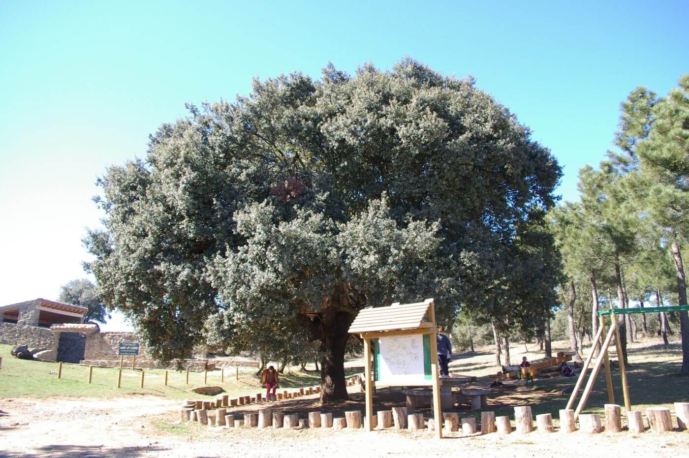 Lee más sobre el artículo El programa ‘Pequeña naturaleza en familia’ propone un paseo por el carrascal de Villarroya este domingo 16 de agosto