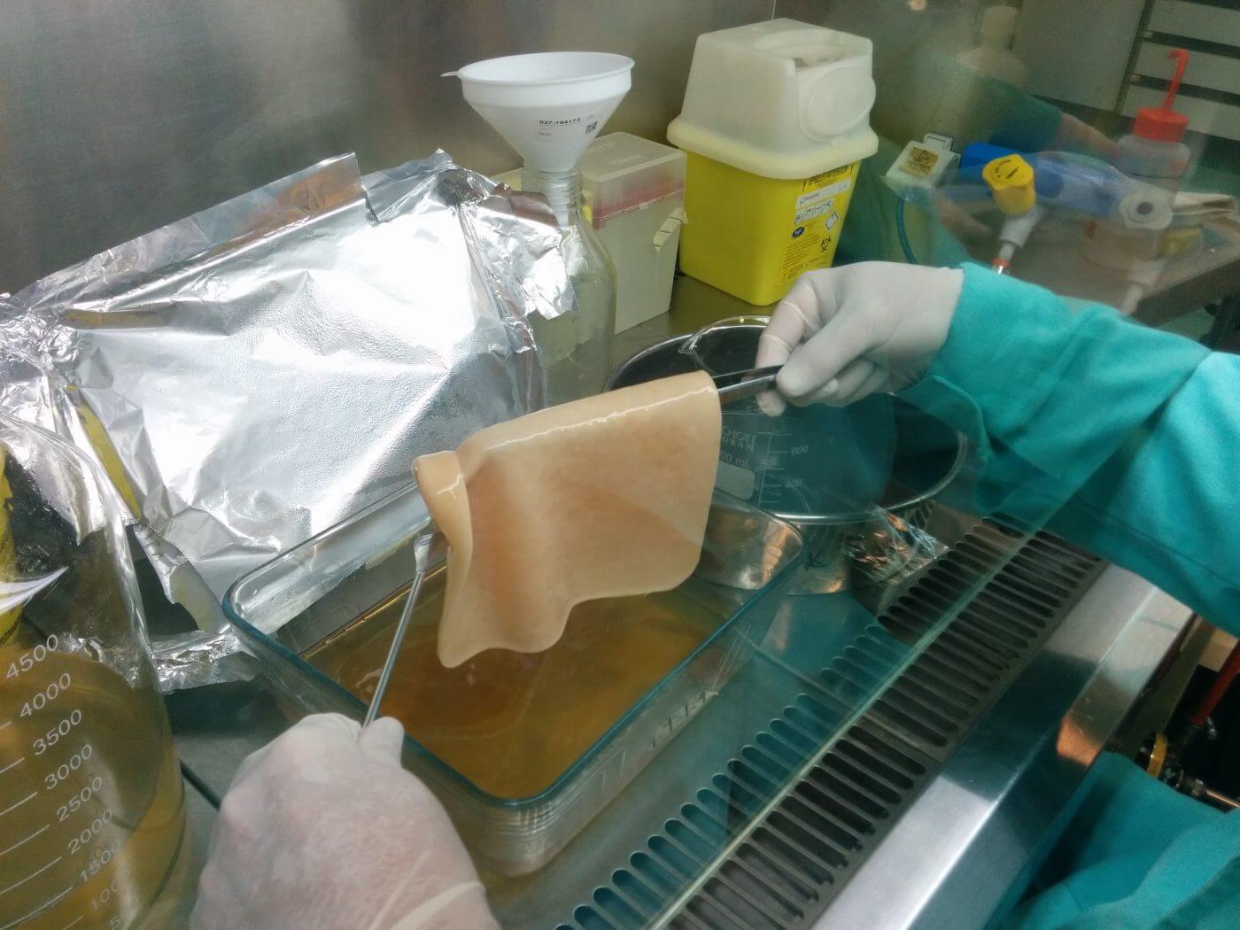 Lee más sobre el artículo El CTCR premiado con el máximo galardón de Expoquimia en Biotecnología