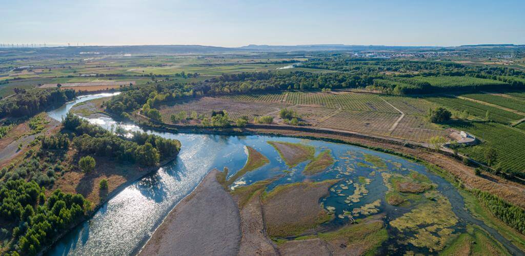 Lee más sobre el artículo Se inicia la restauración ambiental en el paraje de ‘El Estajao’ de Alfaro para reducir el riesgo de inundación en el tramo medio del Ebro