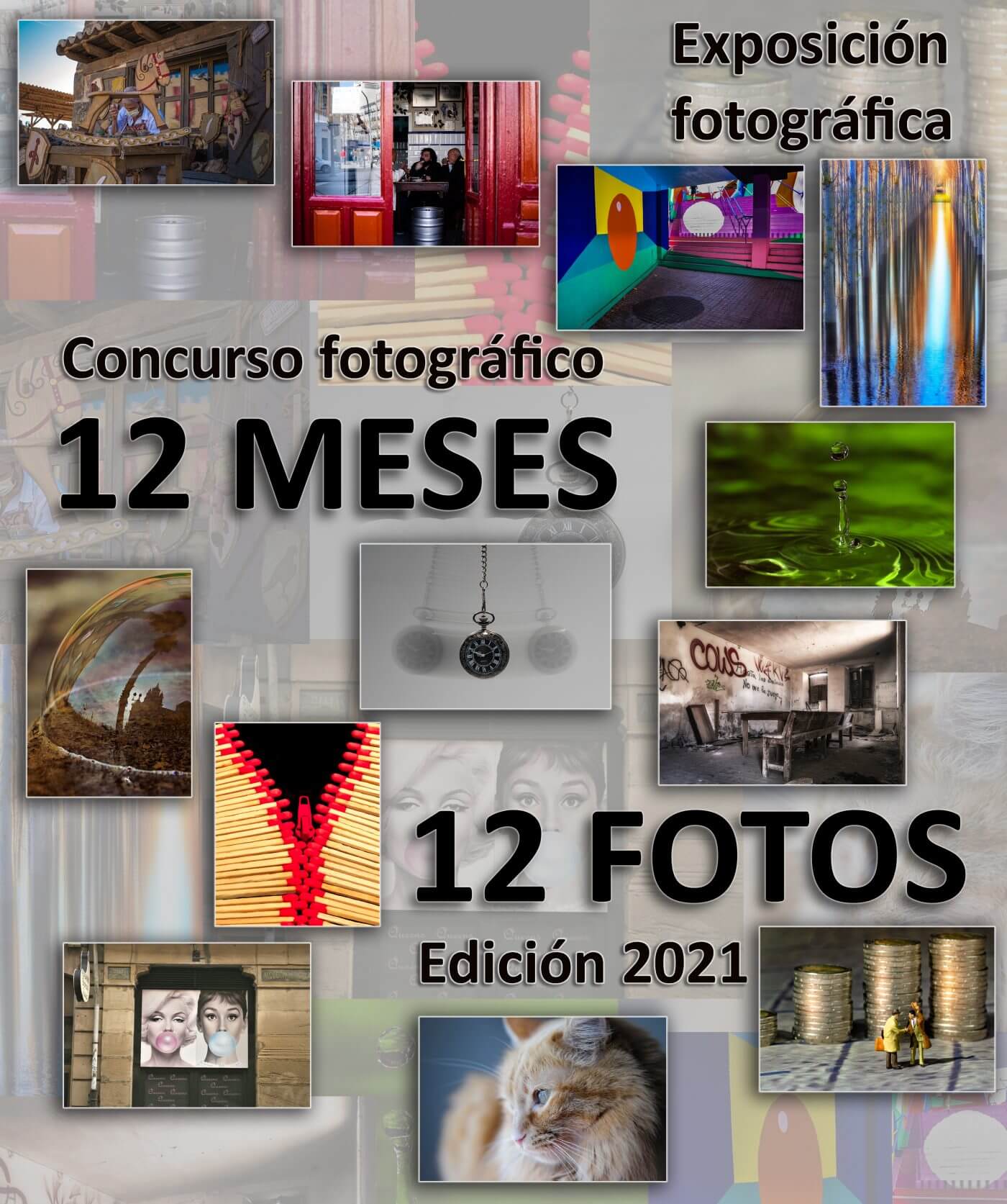 Lee más sobre el artículo El Centro Fundación Cajarioja de Calahorra acoge hasta el 10 de febrero la exposición de Asfocal «12 meses, 12 fotos»