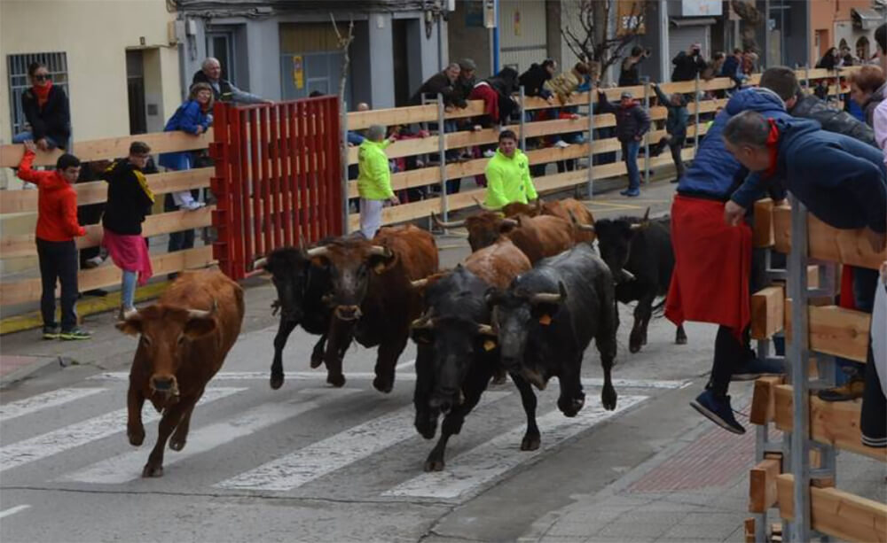 Lee más sobre el artículo El Ayuntamiento de Calahorra adjudica los encierros, la carpa y los fuegos artificiales para fiestas previstas del 2 al 5 de marzo