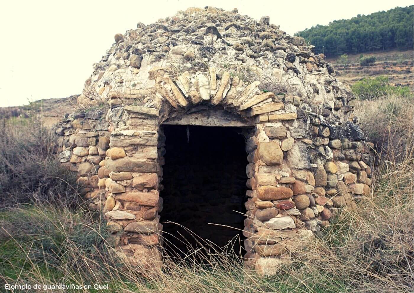 Lee más sobre el artículo CaixaBank y Fundación Cajarioja financiarán un proyecto de la ADR La Rioja Suroriental para reproducir un guardaviñas