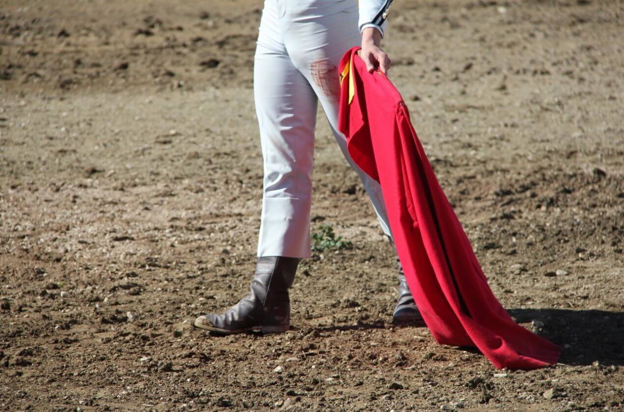 Lee más sobre el artículo Seleccionados los 14 novilleros que aspiran a participar en el Bolsín Taurino de La Rioja ‘Zapato de Plata’ que se celebrará en Arnedo el 20 de marzo