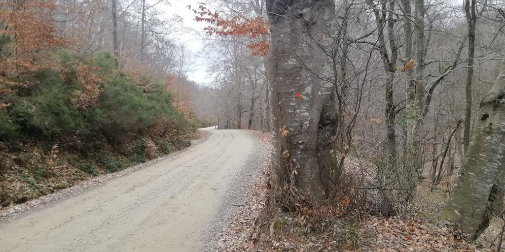 Lee más sobre el artículo Ecologistas en Acción de La Rioja pide protección para la biodiversidad de Ocón y el arbolado de Sierra La Hez