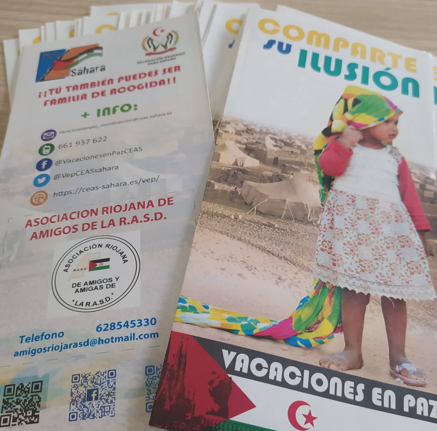 Lee más sobre el artículo CC.OO La Rioja apoya el proyecto «Vacaciones en Paz» que se retoma este año para que niños saharauis pasen el verano en España