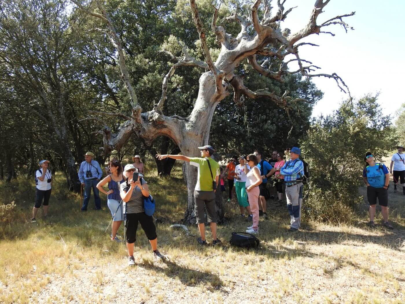 Lee más sobre el artículo ‘Día Mundial de la Biodiversidad’ con actividades en el Carrascal de Villarroya y los Sotos de Alfaro