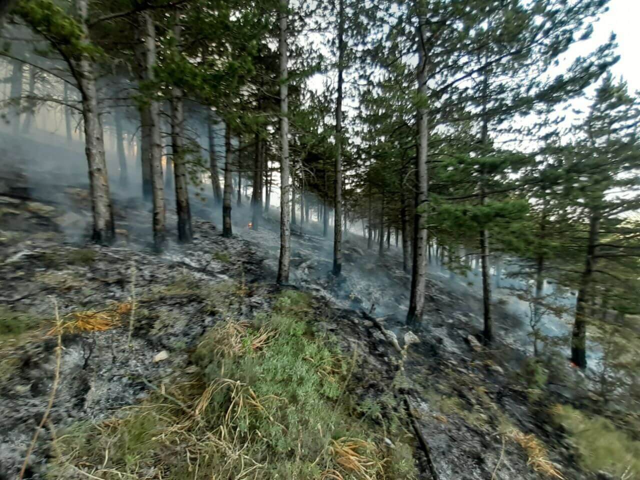 Lee más sobre el artículo El Gobierno de La Rioja informa de que el incendio en peña Isasa está estabilizado pero no extinguido
