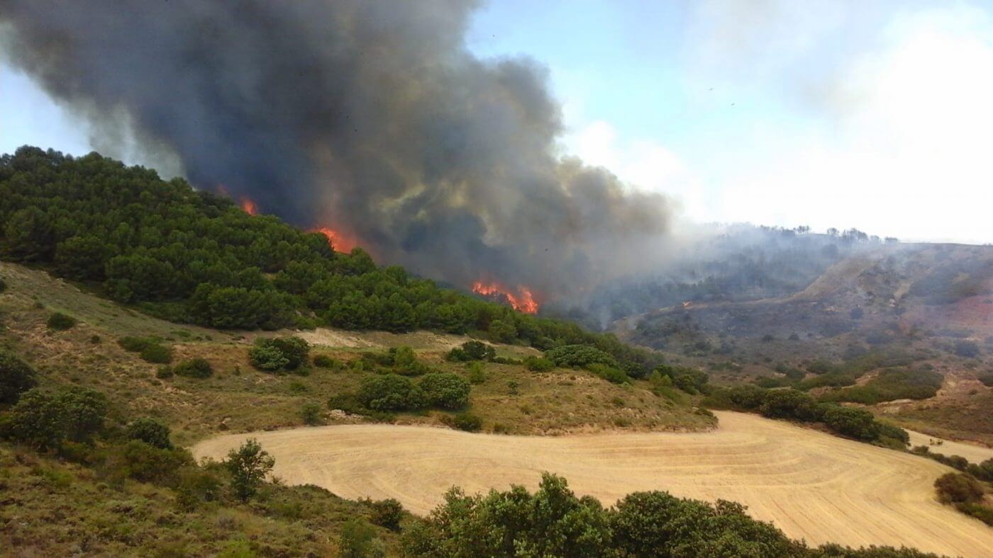 Lee más sobre el artículo El origen del incendio de Yerga, que ha afectado a 104 hectáreas, pudo deberse a una imprudencia