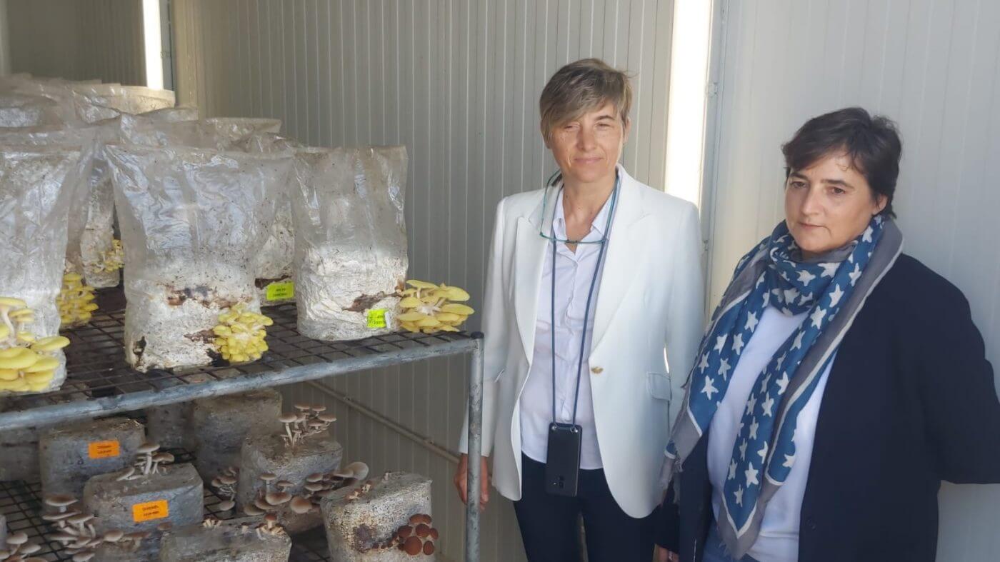 Lee más sobre el artículo El Programa ‘Rutas de Innovación’ visita en Autol el Centro Tecnológico de Investigación del Champiñón de La Rioja