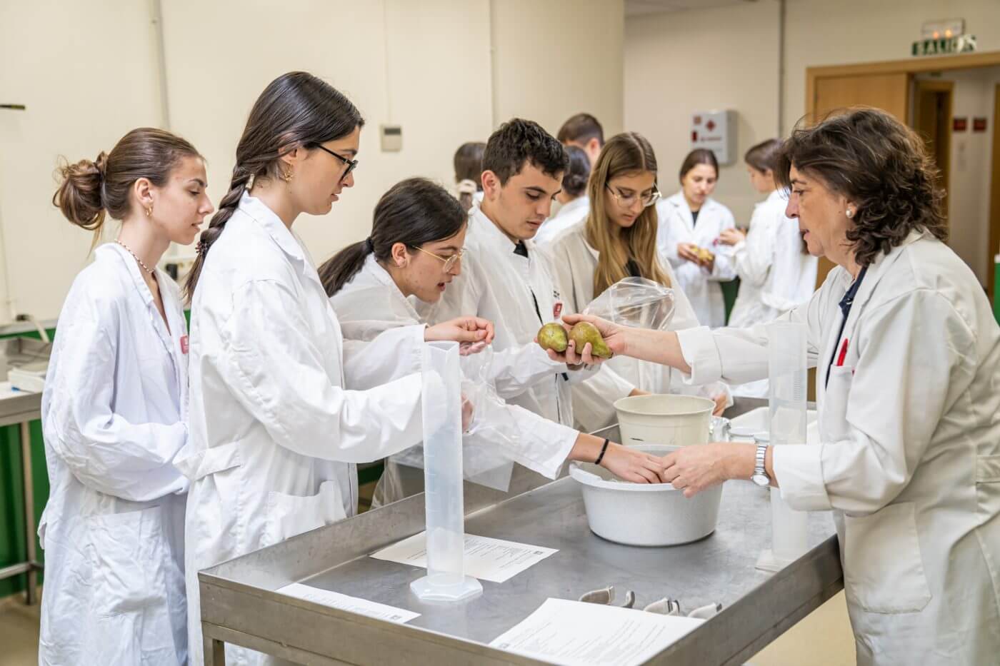 Lee más sobre el artículo Alumnos del IES ‘Celso Díaz’ de Arnedo participan en los talleres de la UR de descubrimiento de las ciencias agroalimentarias
