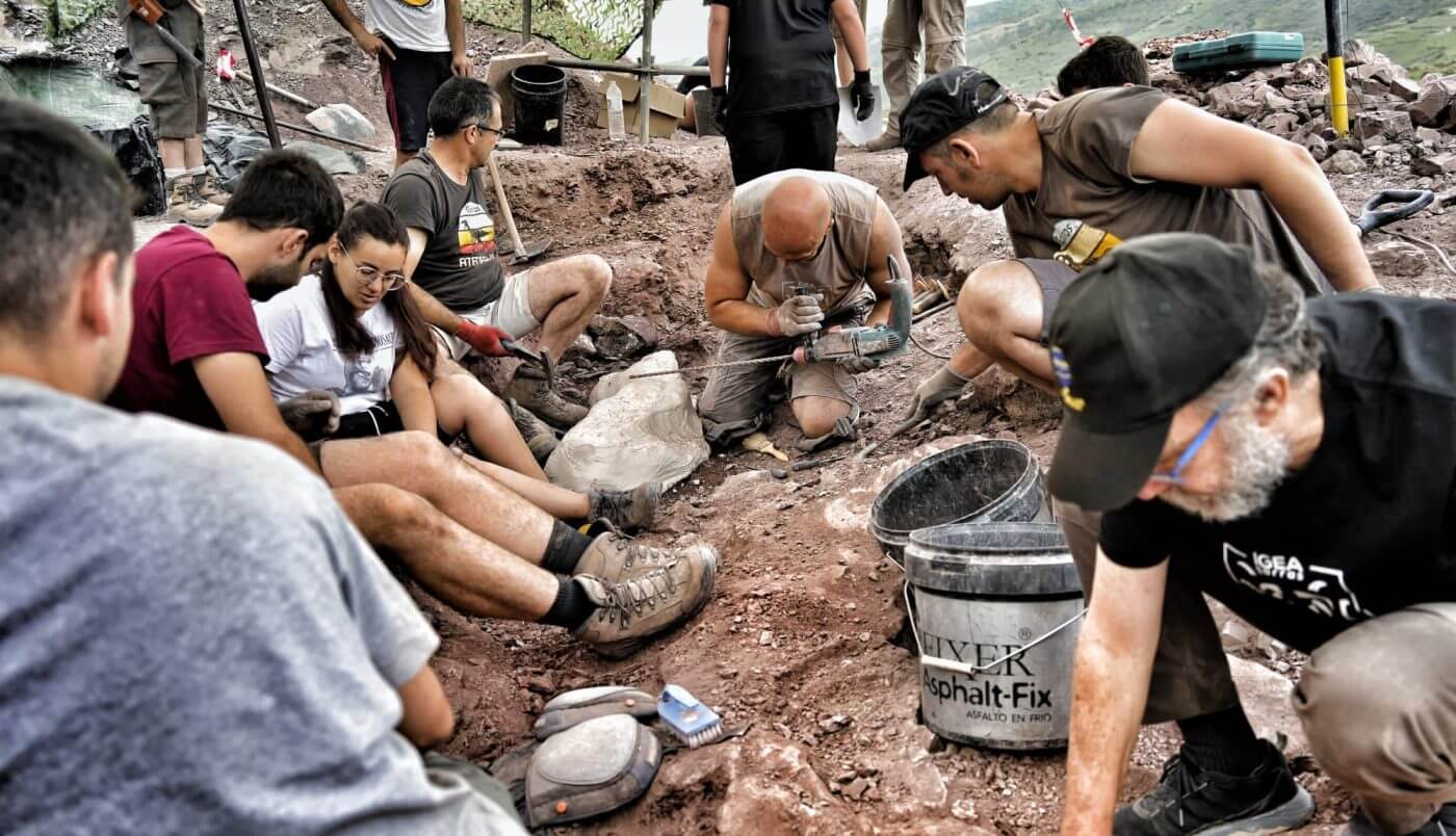 Lee más sobre el artículo El equipo «Garras» halla en Igea nuevos restos óseos de uno de los dinosaurios espinosáuridos más completos del registro mundial