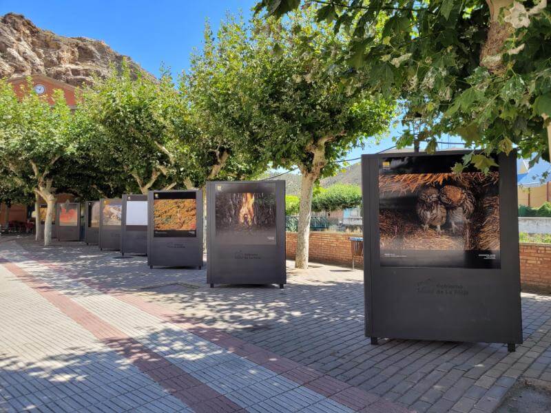 Lee más sobre el artículo Cervera del Río Alhama acoge la exposición itinerante del Concurso Fotográfico ‘Naturaleza de La Rioja’