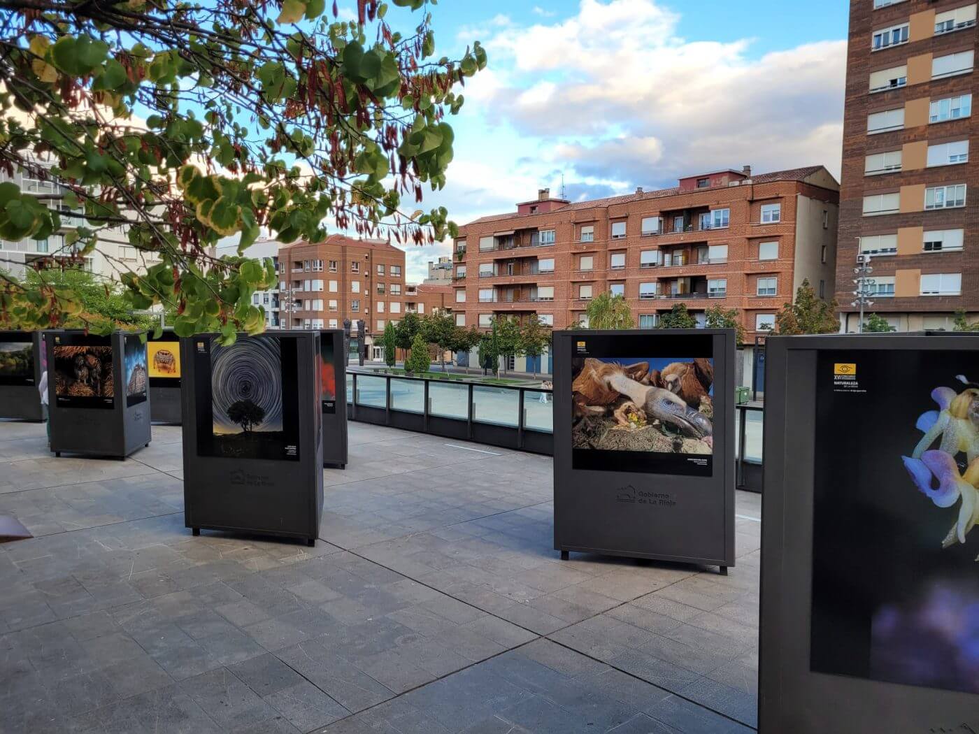 Lee más sobre el artículo La plaza de España de Arnedo acoge hasta el 18 de septiembre la exposición itinerante del XVI Concurso Fotográfico «Naturaleza de La Rioja»