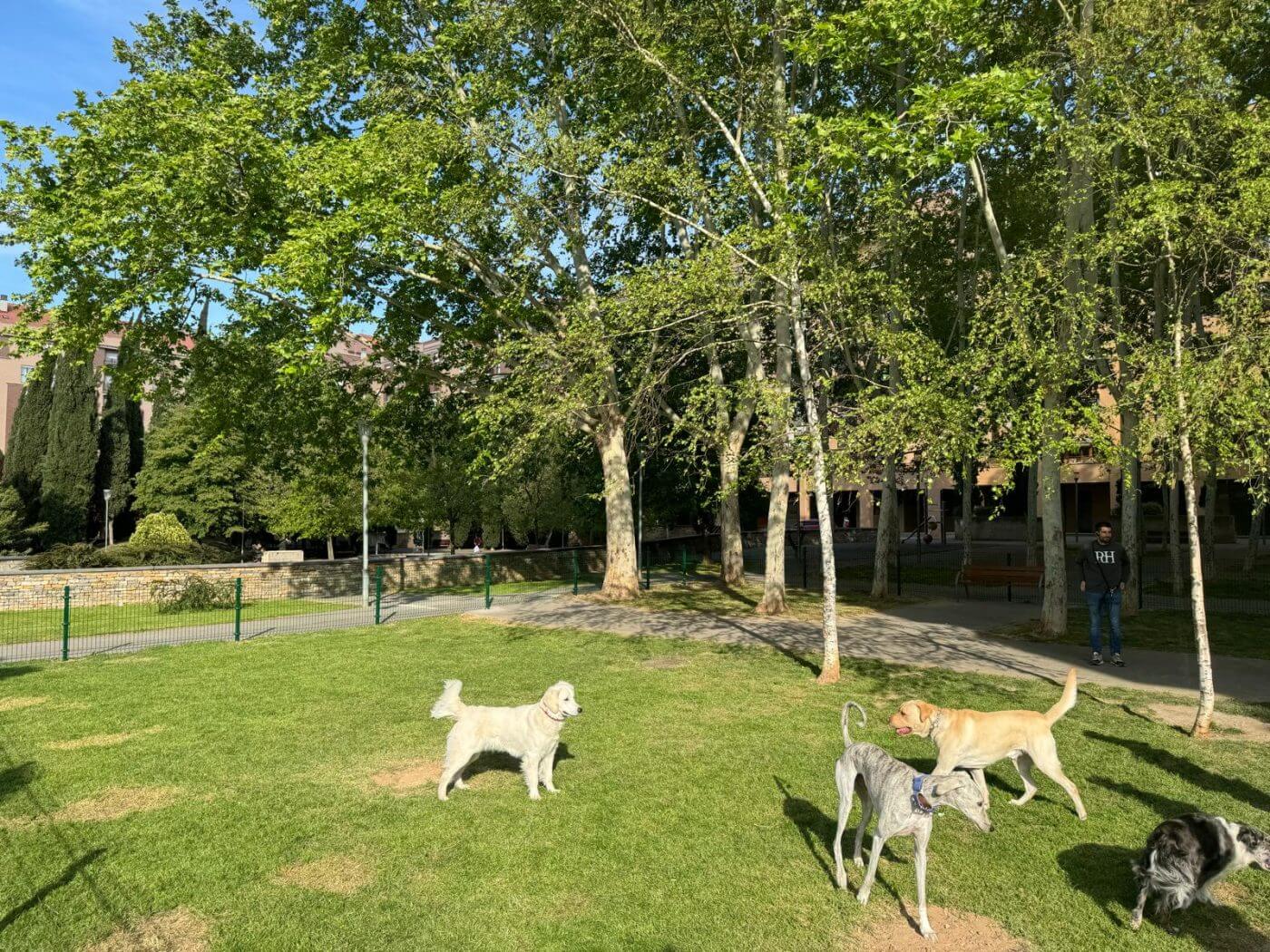 Lee más sobre el artículo El Ayuntamiento de Calahorra acondiciona una zona de esparcimiento canino en la plaza Diego Camporredondo