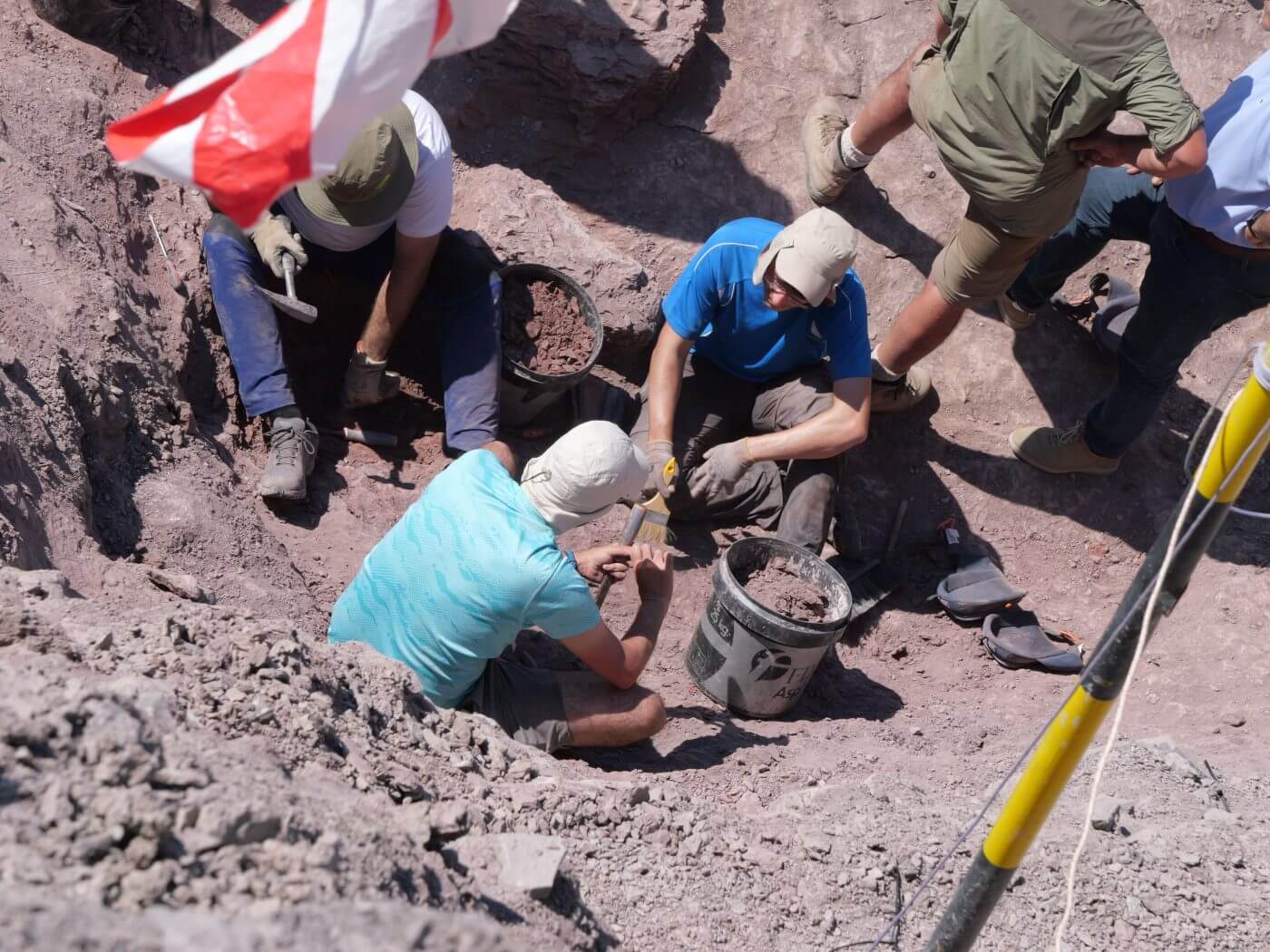 Lee más sobre el artículo El Barranco perdido de Enciso y el yacimiento de Igea, recursos fundamentales de la paleontología riojana
