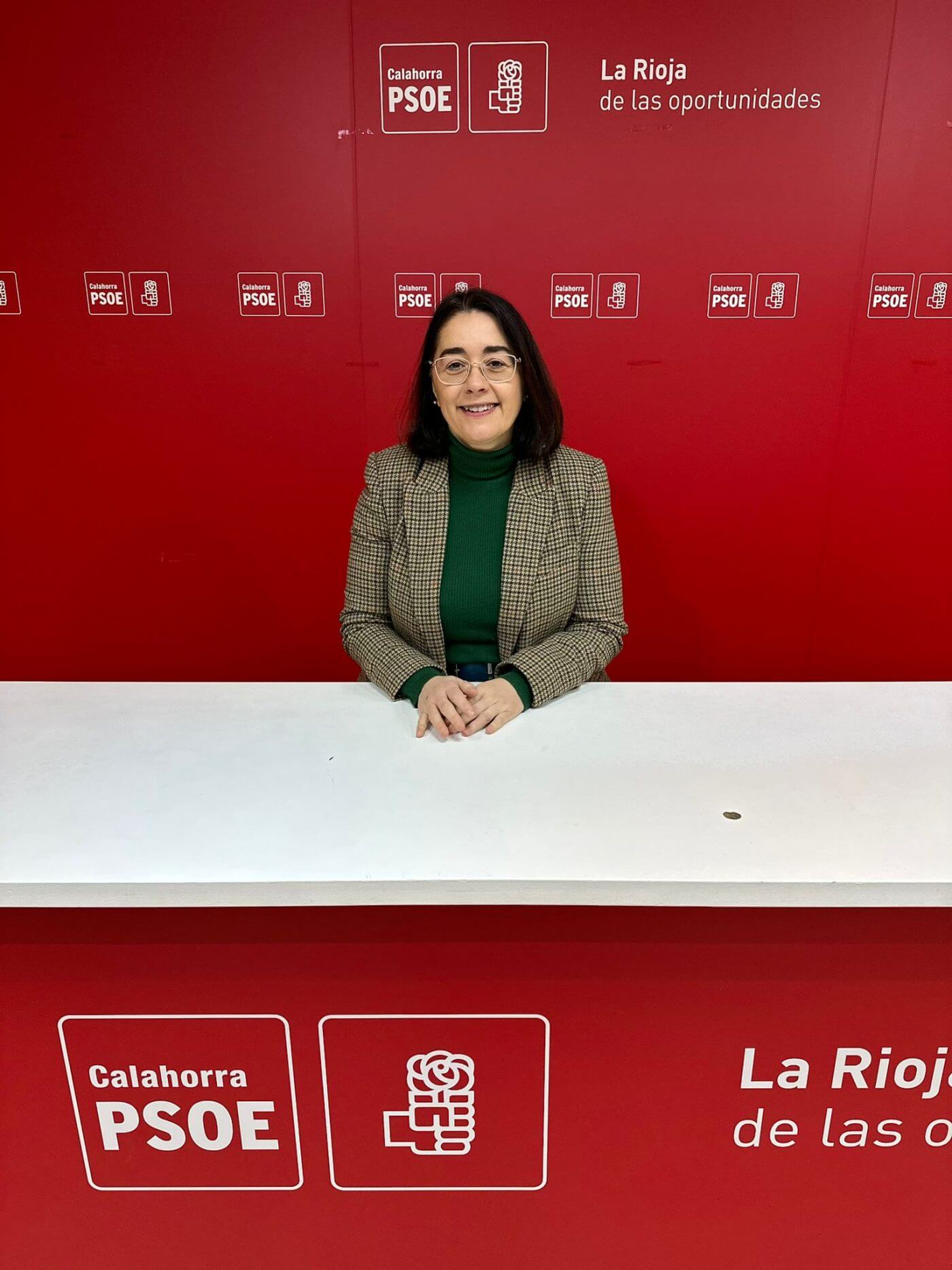 Lee más sobre el artículo El PSOE de Calahorra acusa al equipo de gobierno de «condenar a la ciudad a  la parálisis de sus principales proyectos»