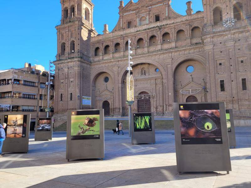 Lee más sobre el artículo La exposición itinerante del XVII Concurso Fotográfico Naturaleza de La Rioja llega a Alfaro, con visita guiada el sábado 25 de enero