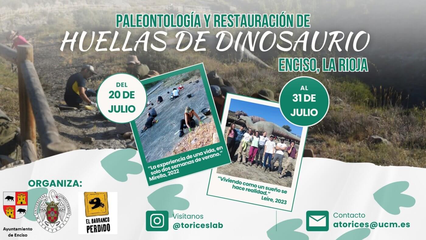Lee más sobre el artículo Hasta el 31 de julio se desarrolla un nuevo campo de trabajo de paleoicnología y restauración de huellas de dinosaurio en Enciso