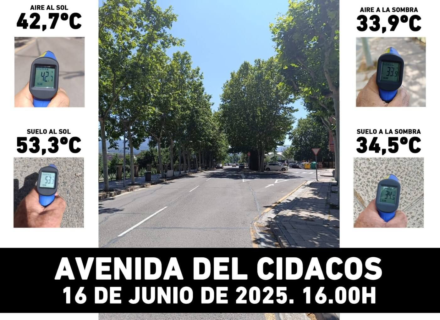 Lee más sobre el artículo El responsable de Parques y Jardines del Ayuntamiento de Arnedo considera que se debe incrementar la presencia de árboles en la ciudad como refugios climáticos
