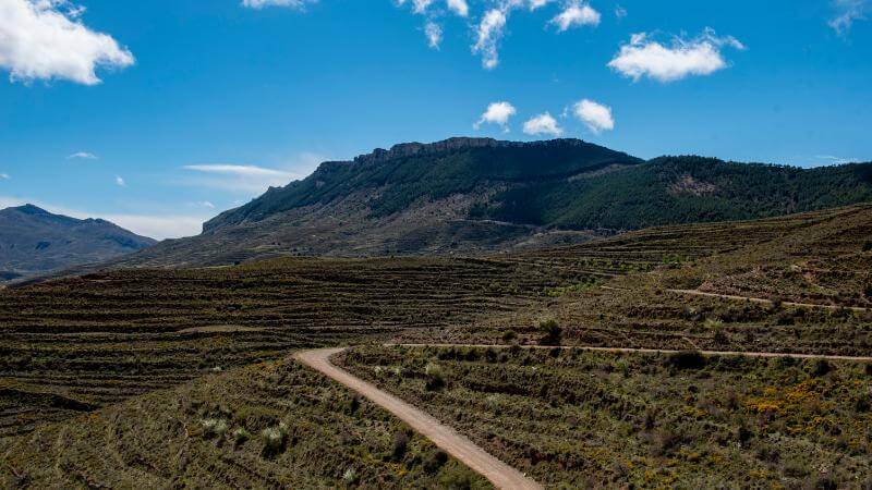 Lee más sobre el artículo El Gobierno de La Rioja abre la licitación del tramo de la vía verde ciclable del Cidacos a su paso por Herce