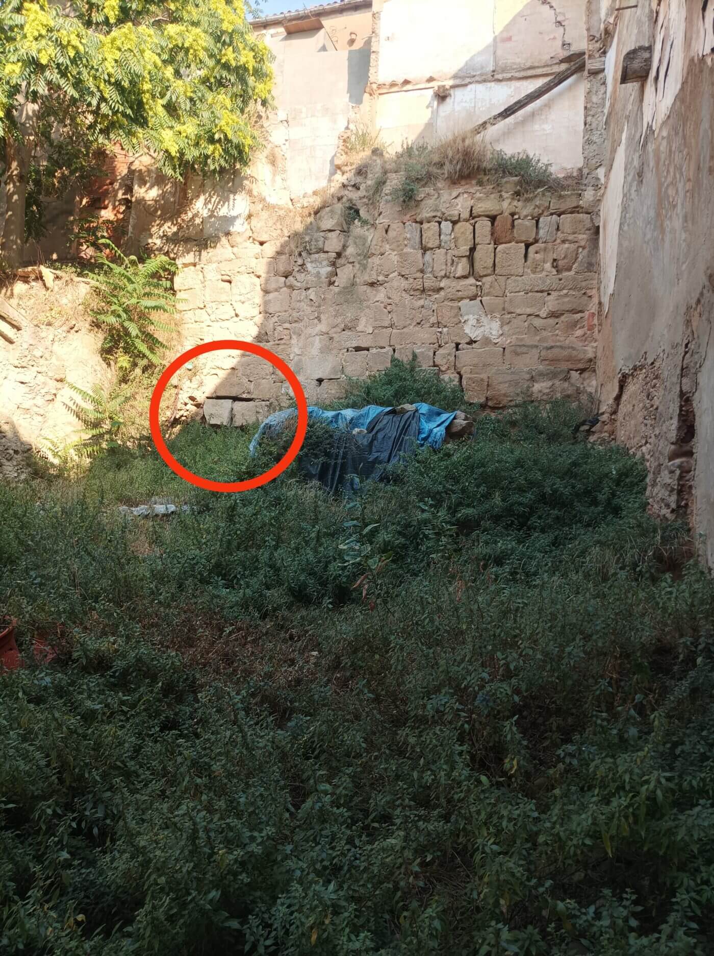 Lee más sobre el artículo Amigos de la Historia de Calahorra pide al Ayuntamiento y al Gobierno de La Rioja que actúen ante el deterioro de los restos arqueológicos de La Clínica y la calle Sastres
