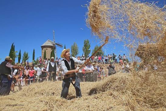 Lee más sobre el artículo El Ayuntamiento de Ocón suspende la XIX Fiesta de la Molienda prevista el domingo 2 de agosto ante el elevado riesgo de incendio