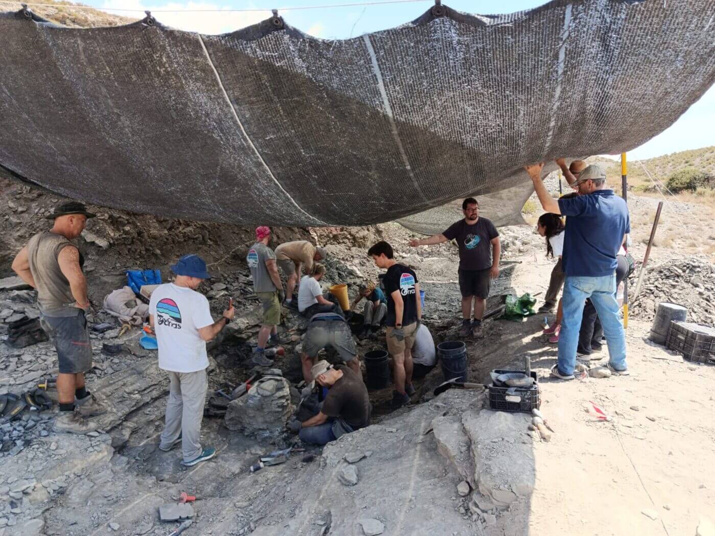 Lee más sobre el artículo Finaliza con éxito la campaña de excavación 2026 en el yacimiento Las Cerradas de Igea
