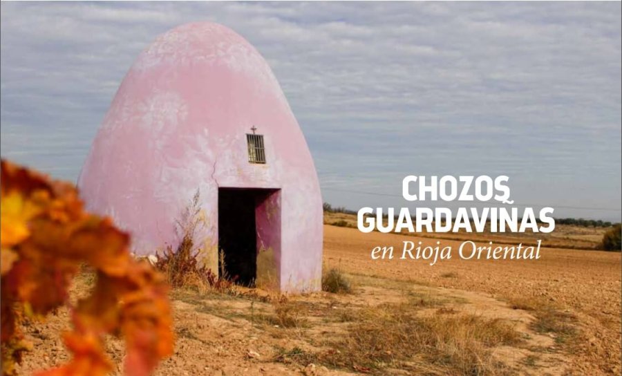 ADR PUBLICACION CHOZOS