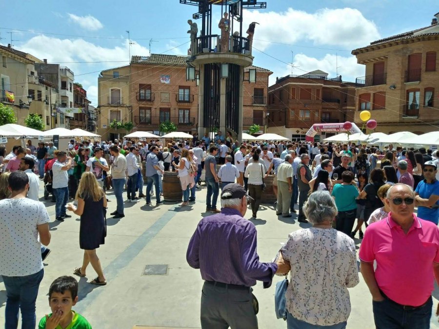 ALDEA entreviñas 2018