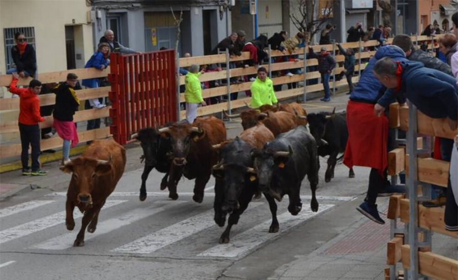 CALAHORRA encierro marzo 2020