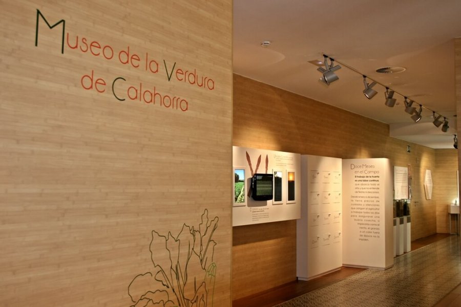 CALAHORRA museo Verdura interior 3
