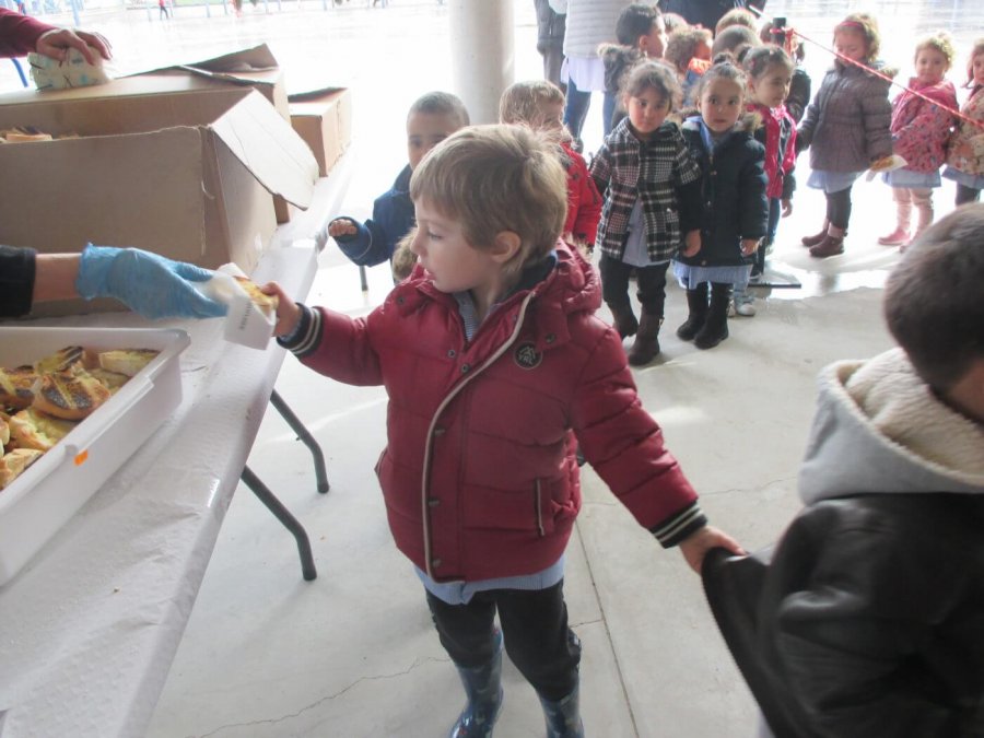 CEO VILLA AUTOL GASTROCEO 1