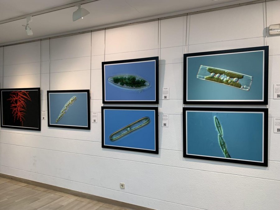 EXPOSICION TURBERAS CENTRO CAJARIOJA ARNEDO