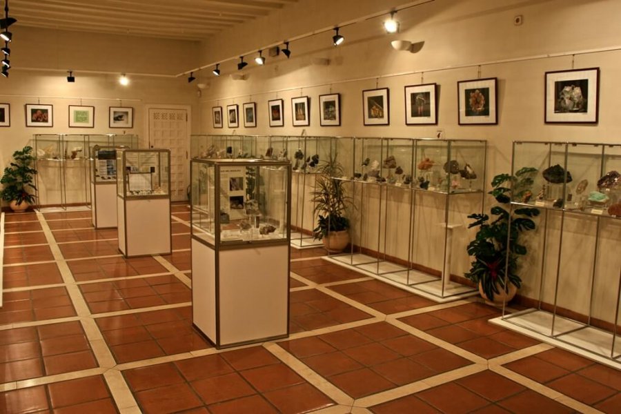 MUSEO CIENCIAS NATURALES ARNEDO 1