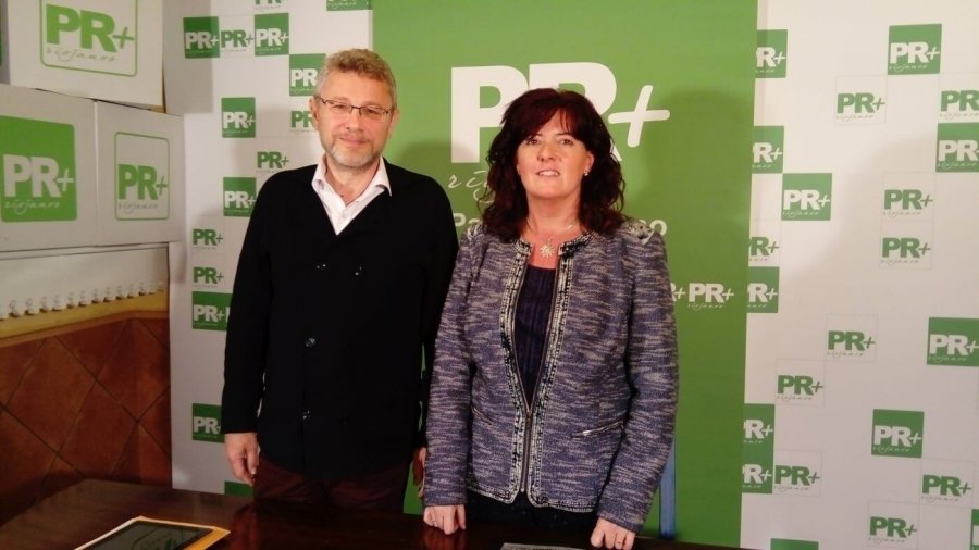 PR JULIO REVUELTA Y RITA BELTRAN ALEGACIONES DIRECTRIZ