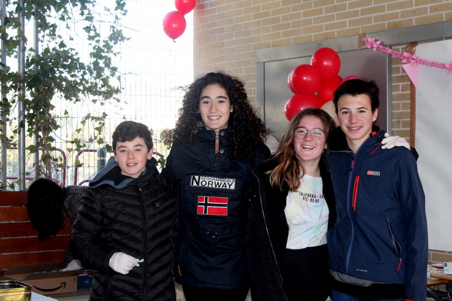 CEO AUTOL proyecto alimentos 1